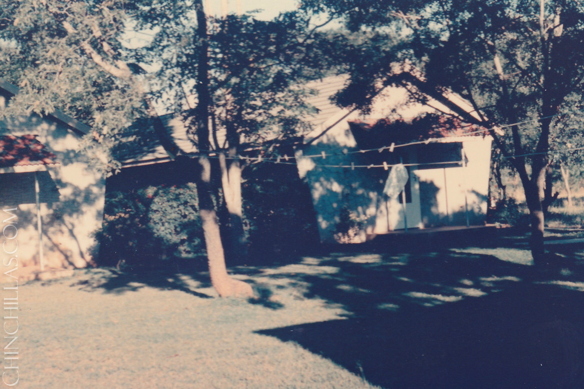 gillingham violet chinchilla birthplace salisbury rhodesia zimbabwe